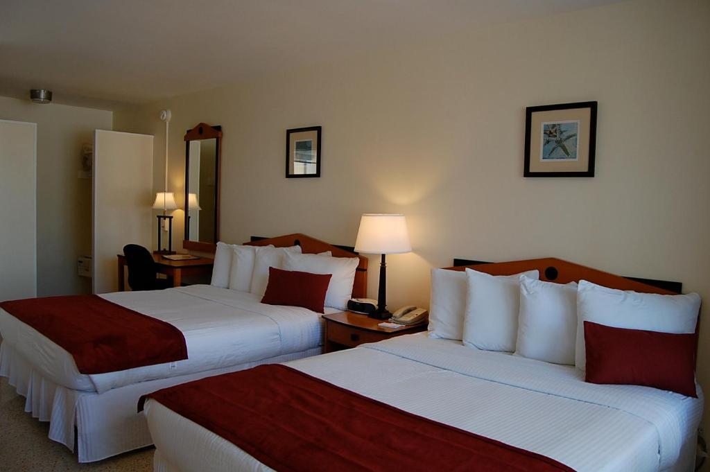 Alcazar Resort- Gay Mens Resort Fort Lauderdale Værelse billede